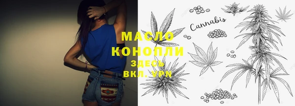 гашик Надым