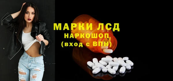 гашик Надым