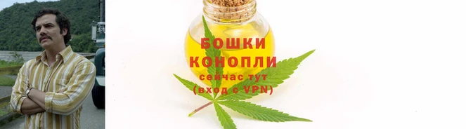 гашик Надым