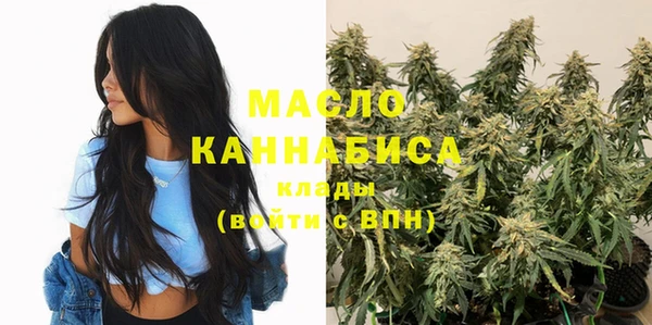 гашик Надым