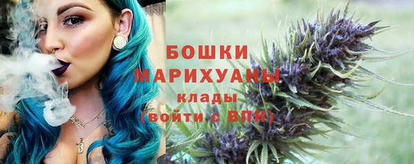 гашик Надым