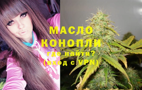 гашик Надым