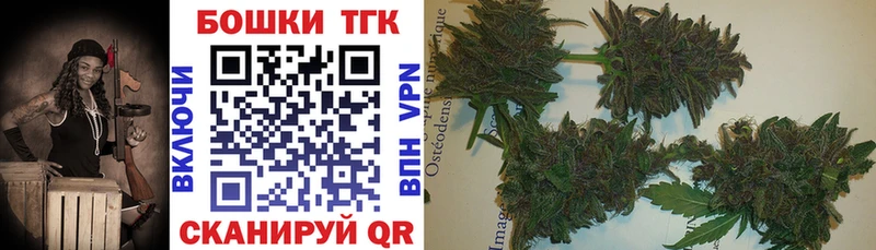 Бошки Шишки сатива  купить наркоту  Торопец 